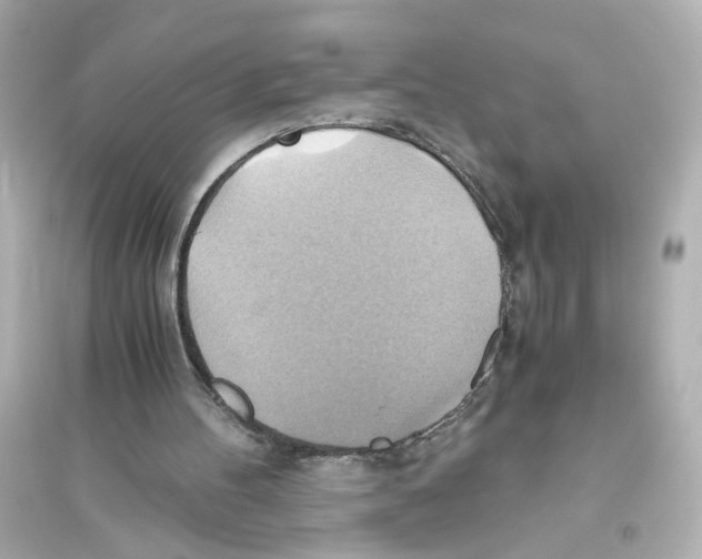 X0000093610100200711121222