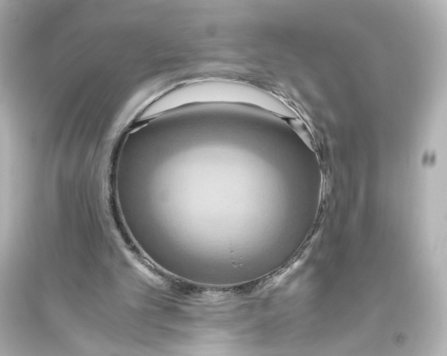 X0000093610101200711121222