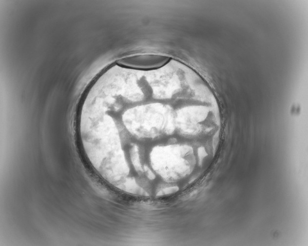 X0000093610103200711121222