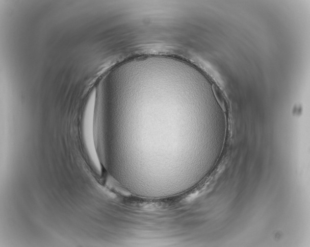 X0000093610105200711121222