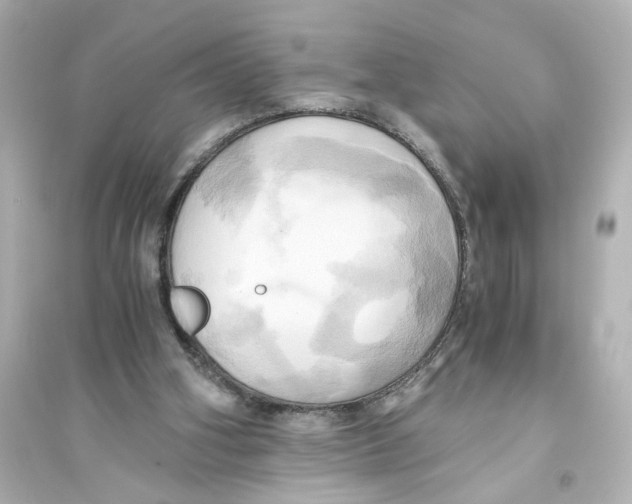 X0000093610106200711121222
