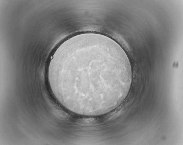 X0000093610108200711121222