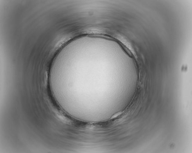 X0000093610109200711121222