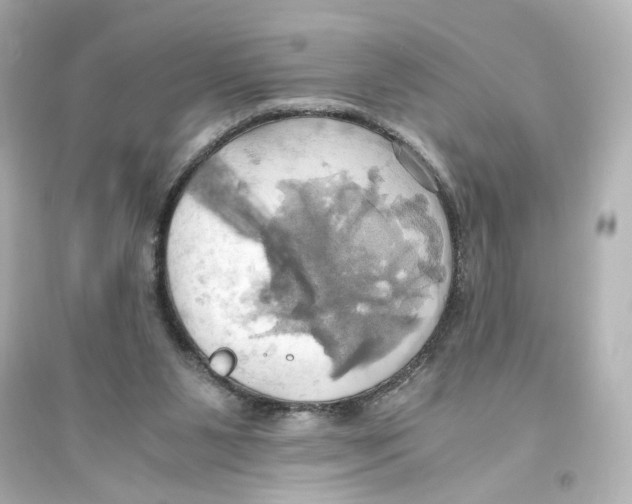 X0000093610111200711121221