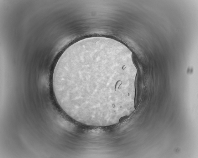 X0000093610112200711121221