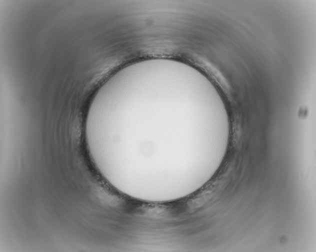X0000093610113200711121221