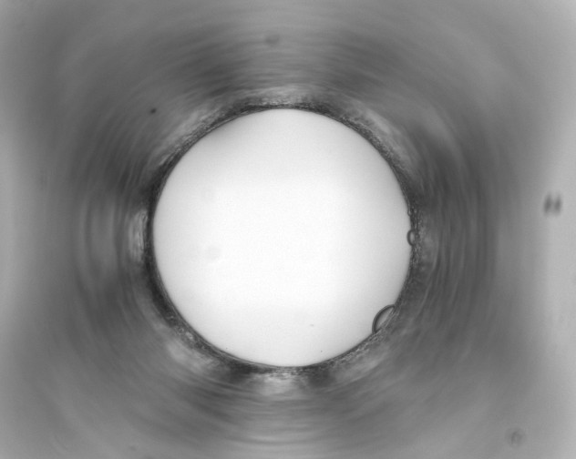 X0000093610118200711121221