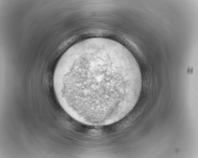 X0000093610119200711121221
