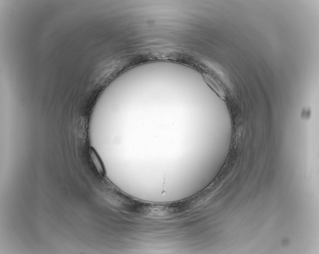 X0000093610121200711121221