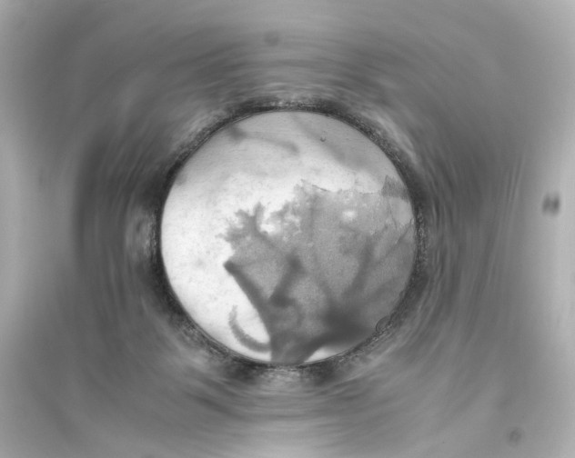X0000093610123200711121221