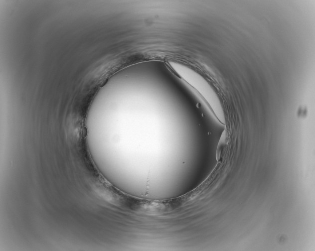 X0000093610125200711121221