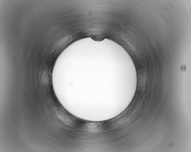 X0000093610126200711121221