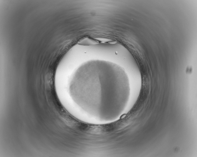 X0000093610127200711121221