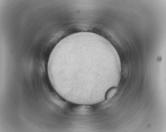 X0000093610128200711121221