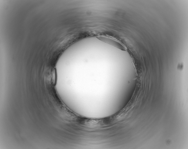 X0000093610129200711121221