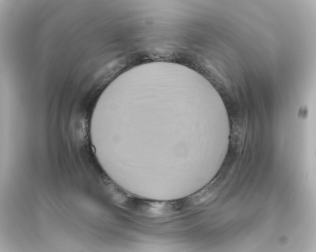 X0000093610130200711121221