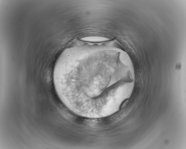 X0000093610131200711121221