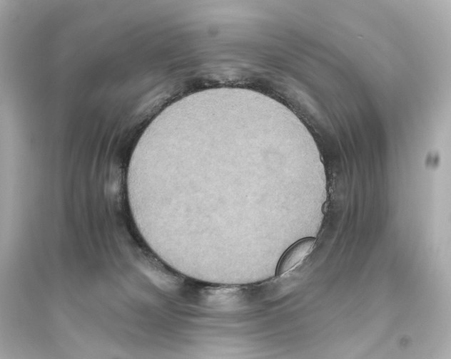 X0000093610132200711121221