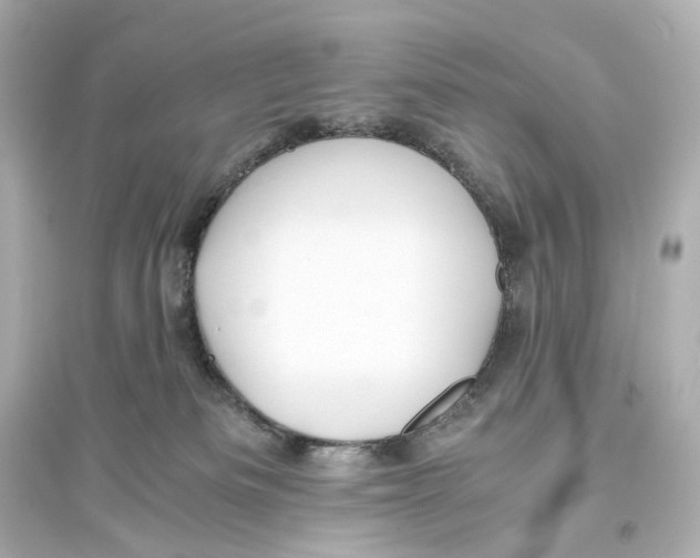 X0000093610133200711121221