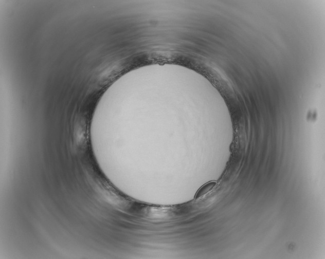 X0000093610134200711121221