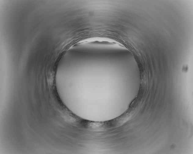 X0000093610139200711121221