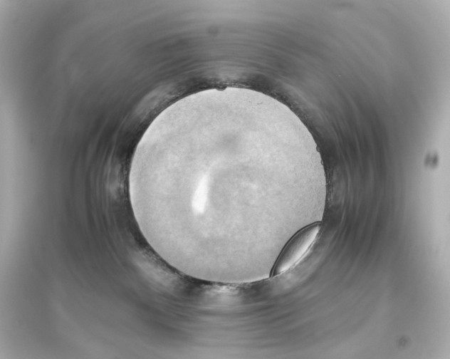 X0000093610140200711121221
