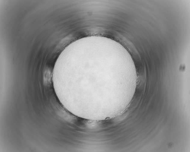 X0000093610142200711121221