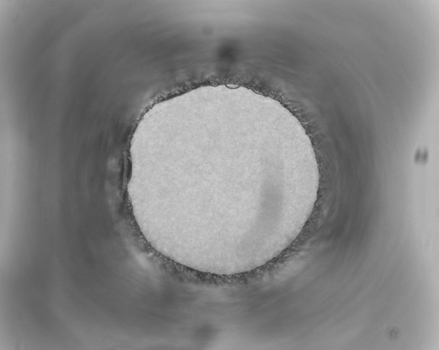 X0000093610144200711121221