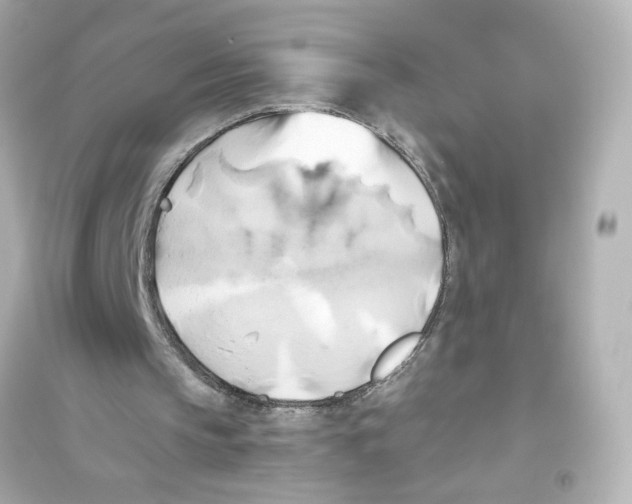 X0000093610145200711121220