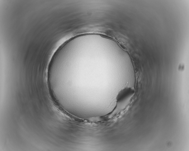 X0000093610148200711121220