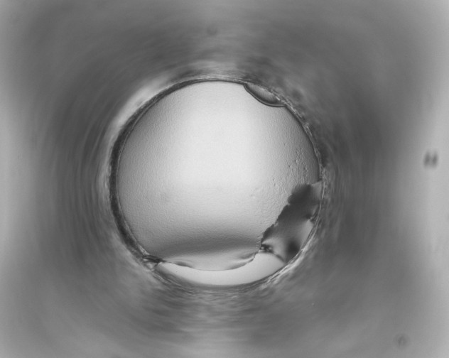 X0000093610150200711121220