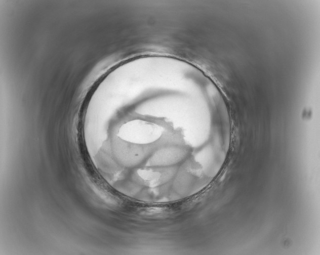 X0000093610151200711121220
