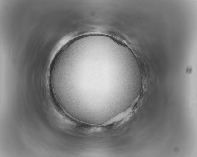 X0000093610152200711121220
