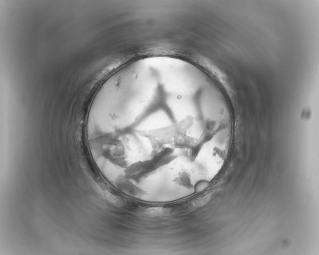 X0000093610153200711121220