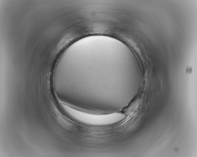 X0000093610154200711121220