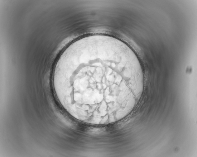 X0000093610155200711121221