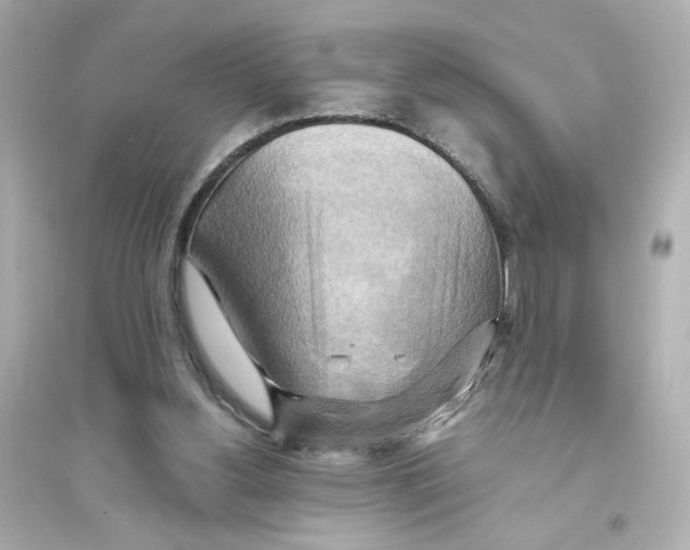 X0000093610156200711121221