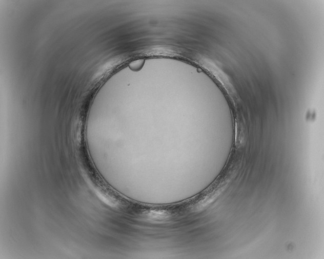 X0000093610157200711121221
