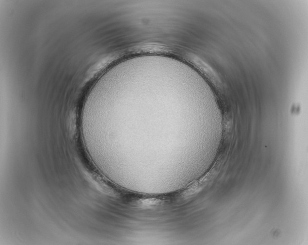X0000093610158200711121221