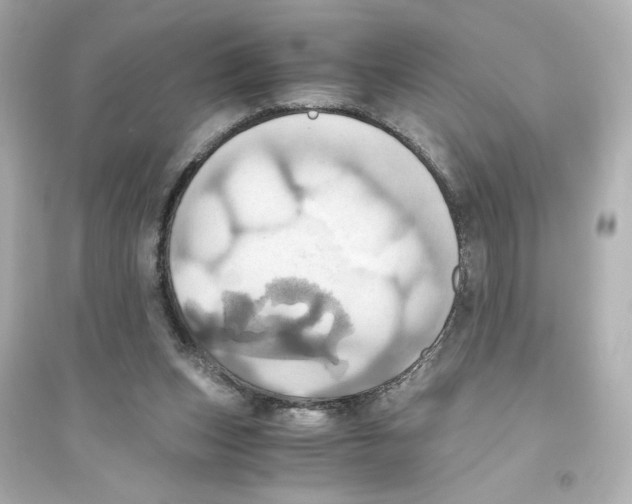 X0000093610159200711121221