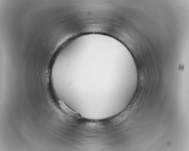 X0000093610160200711121221