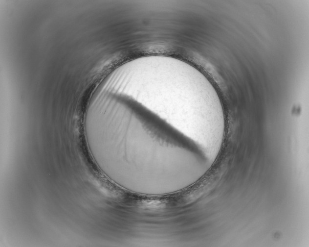 X0000093610161200711121221