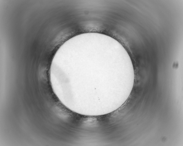X0000093610162200711121221