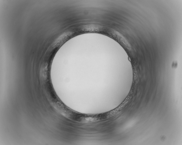 X0000093610163200711121221