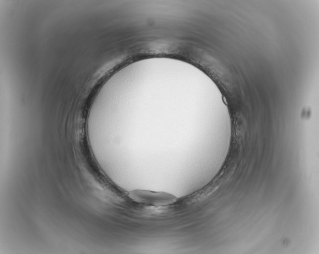 X0000093610164200711121221