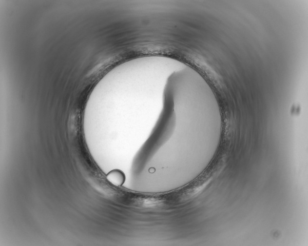 X0000093610165200711121221