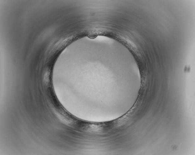 X0000093610166200711121221