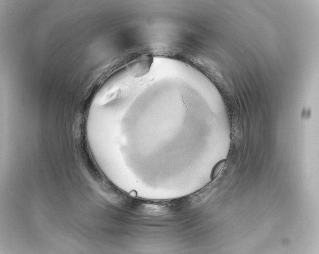 X0000093610167200711121221
