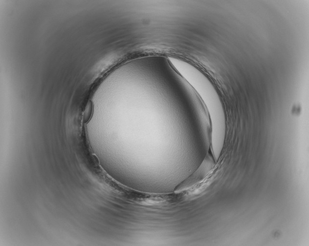 X0000093610168200711121221