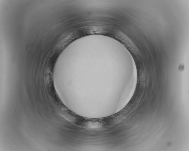 X0000093610169200711121221